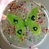 Beautiful Butterfly Drink Coasters Set with Rainbow Glitter - Image 3
