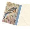 Backyard Birds 2 Watercolor Nature Art Note Card Boxed Set of 6 Assorted Designs CLEARANCE Limited Stock - Image 6