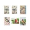 Backyard Birds 2 Watercolor Nature Art