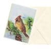 Backyard Birds 2 Watercolor Nature Art Note Card Boxed Set of 6 Assorted Designs CLEARANCE Limited Stock - Image 3