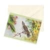 Backyard Birds 3 Watercolor Nature Art Note Card Boxed Set of 6 Assorted Designs CLEARANCE Limited Stock - Image 6