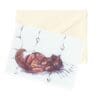 Cats 2 Nature Art Note Card Boxed Set of 6 Assorted Designs CLEARANCE Limited Stock - Image 2