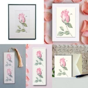 Delicate Pink Rose Bud