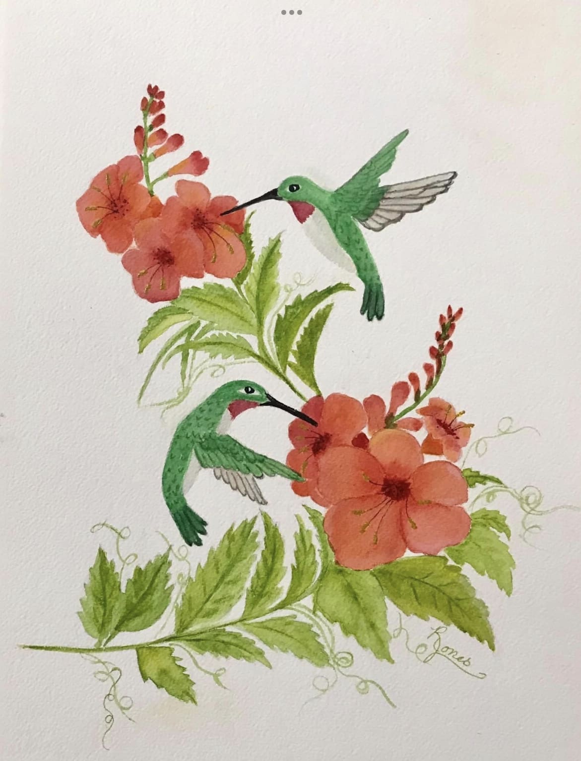 Delicate watercolor print on canvas of hummingbirds and hummingbird vine Hummingbirds and hummingbird vine