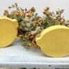 Amazing Lemonade Tiered Tray Decor - Image 4