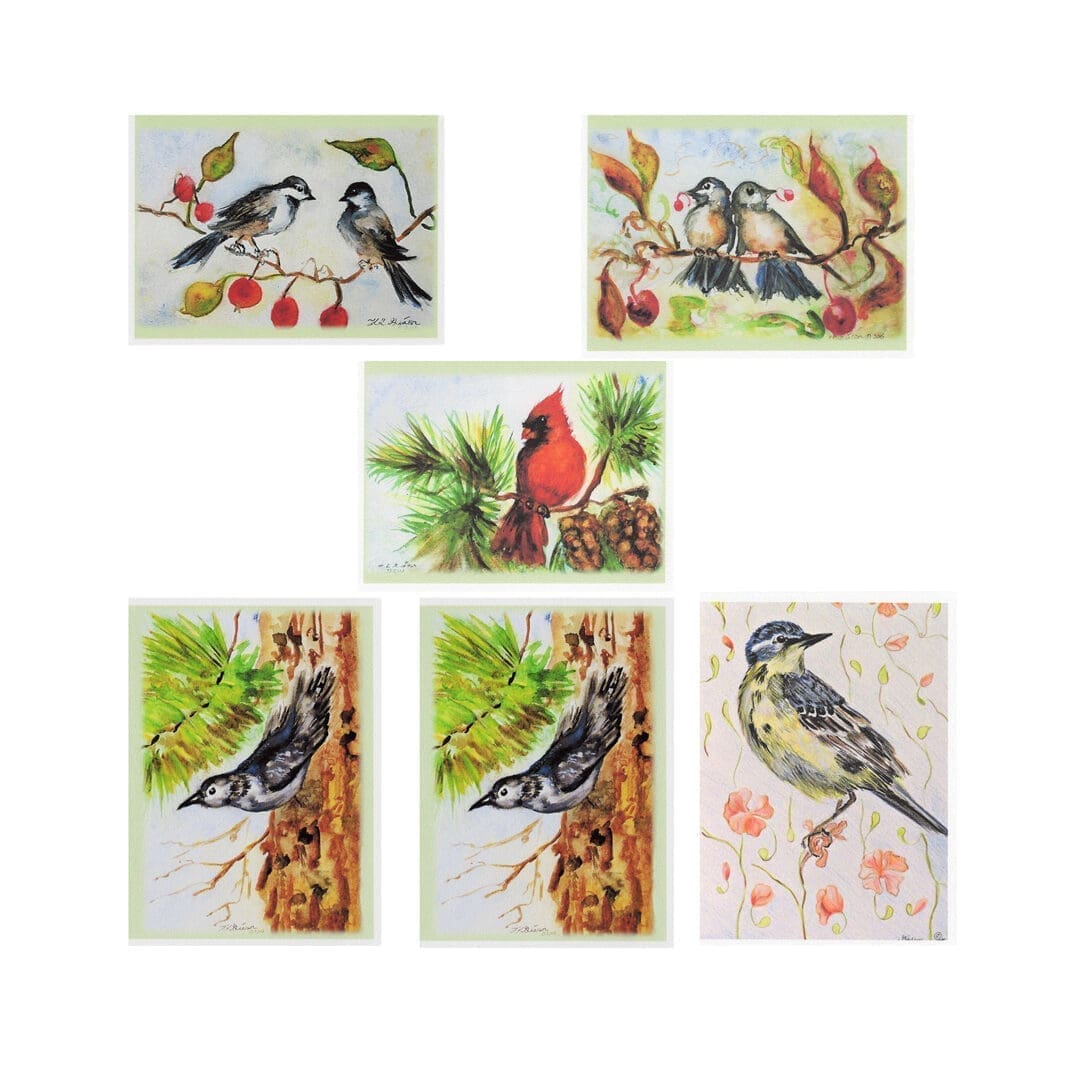 Mixed birds 2 watercolor art note card boxed set of 6 cards 5 designs clearance limited stock Mixed birds 2 watercolor art