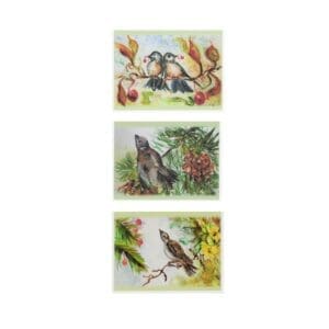 Mixed Birds Watercolor Art Note