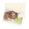 Mixed Cats Art Note Card Boxed Set of 6 Assorted Designs CLEARANCE Limited Stock - Image 3