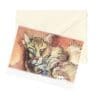 Mixed Cats Art Note Card Boxed Set of 6 Assorted Designs CLEARANCE Limited Stock - Image 6