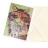 Mixed Cats Art Note Card Boxed Set of 6 Assorted Designs CLEARANCE Limited Stock - Image 7