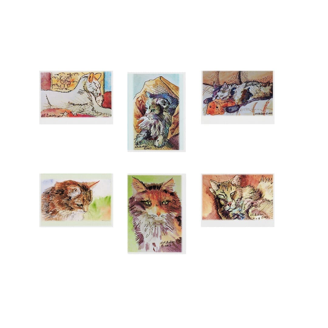 Mixed cats art note card boxed set of 6 assorted designs clearance limited stock Mixed cats art note