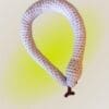 Charming Handmade Plush Snake - Image 3