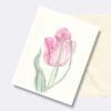 Pink Blush Tulip Floral Art Greeting Card