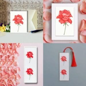 Red Rose Floral Watercolor Art Gift Pack
