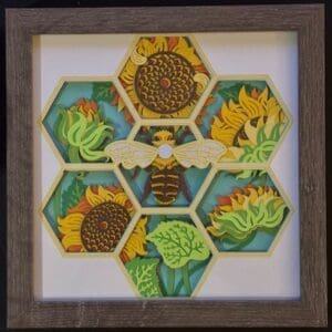 Stunning Bumblebee Hexagon Shadowbox