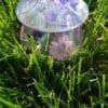 Gorgeous Handcrafted Resin Mushroom Jar - Image 6