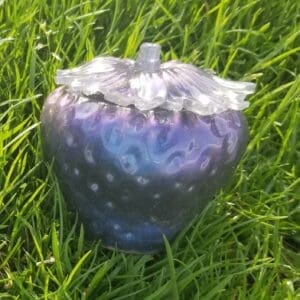 Chameleon resin strawberry jars