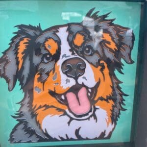Energetic Australian Shepherd Shadowbox