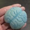 Squishy zombie brains