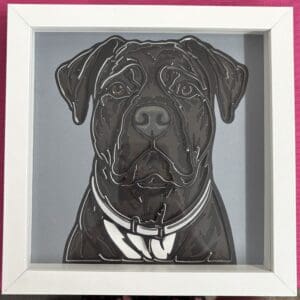 Cane Corso Shadow Box