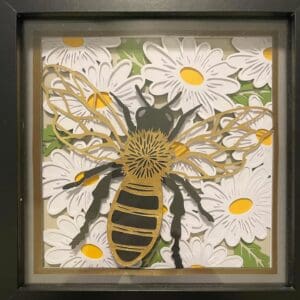 Honeybee shadow box