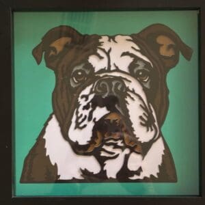 English Bulldog Shadow Box