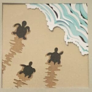 Sea turtle shadow box