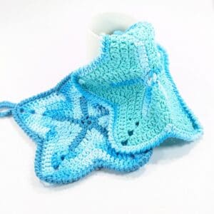 Star Multi-Purpose Aqua Cloth Set