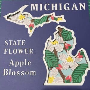 State Inspired Shadow Boxes