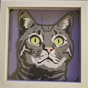 Tabby Cat Shadow Box