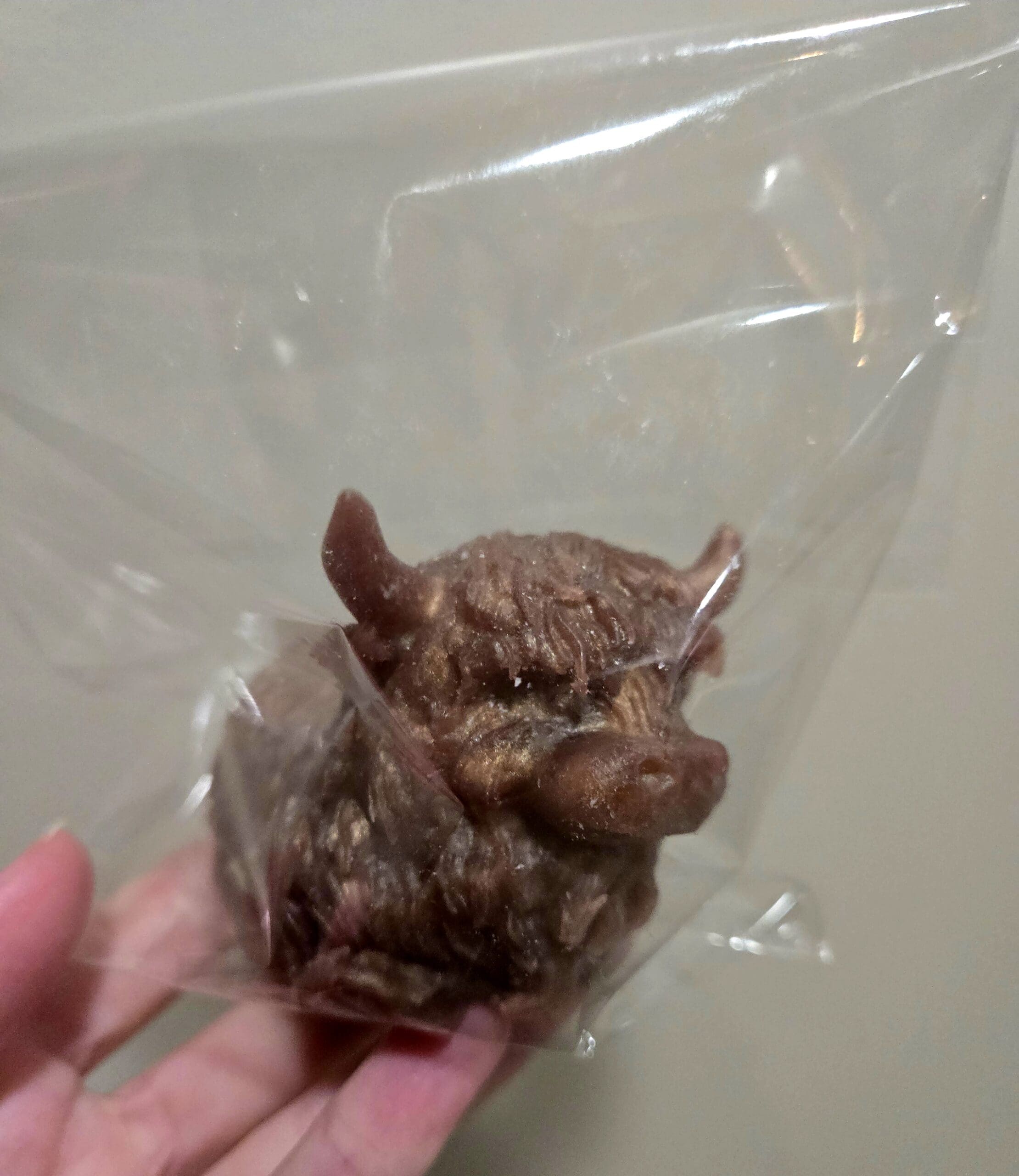 Adorable squishy highland cow Adorable squishy highland cow - image 3