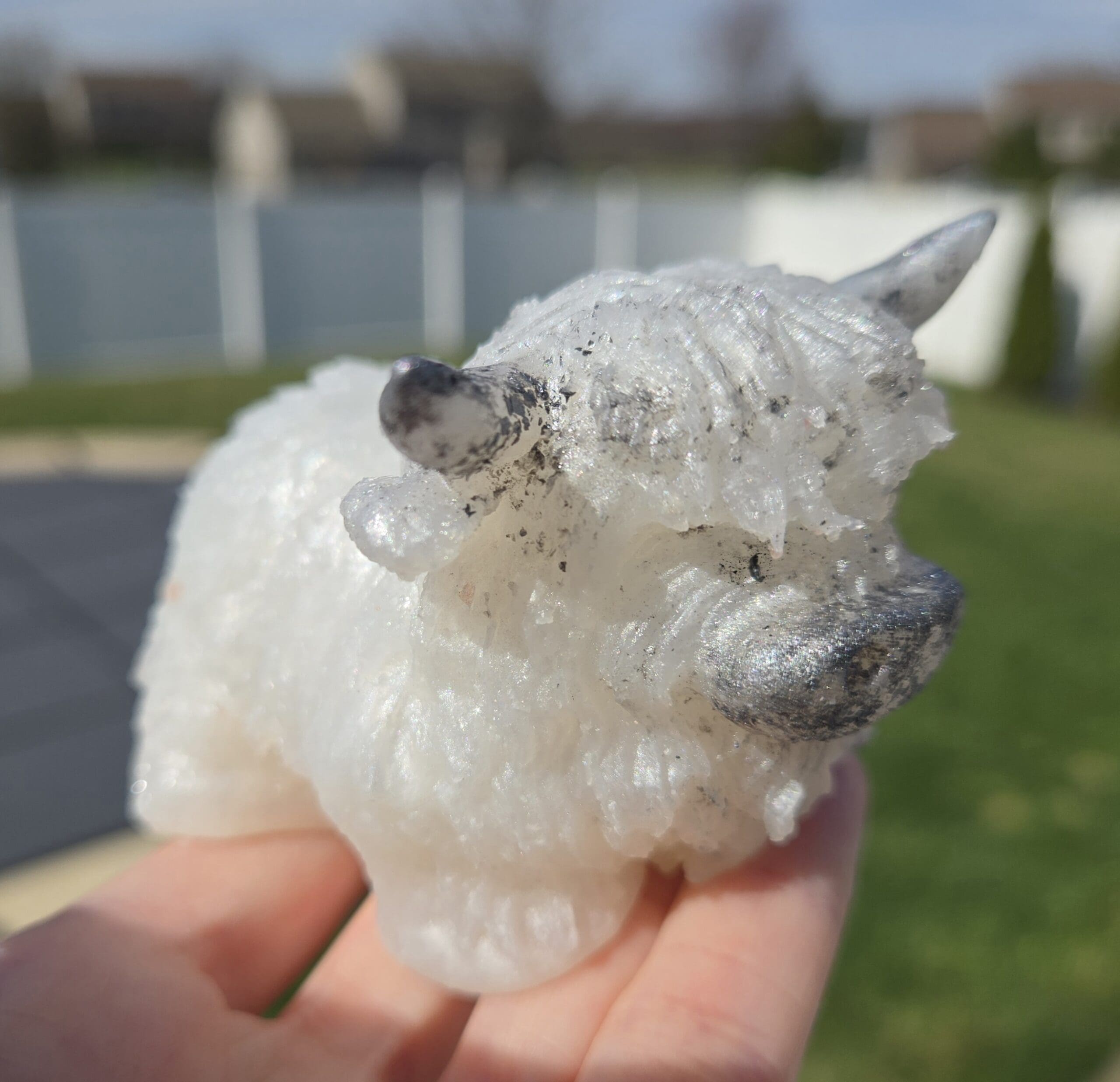 Adorable squishy highland cow Adorable squishy highland cow - image 5