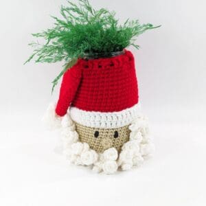 Mason jar santa cover cozy