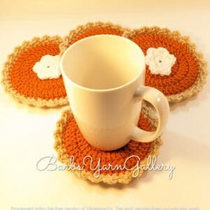 Plush Pumpkin Pie Crochet Coaster Set