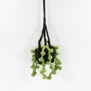 Cauldron Plant Crochet Car Decor