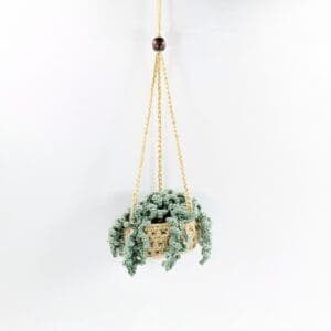 Fern Plant Mini Crochet Hanging Basket
