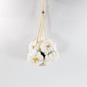 Boho Daisey Crochet Hanging Plant
