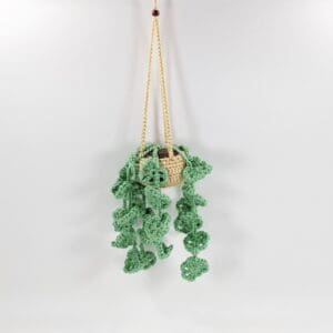 Boho Mini Hanging Crochet Plant
