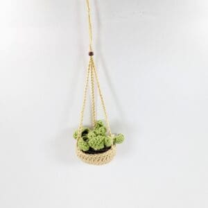 Boho Succulent Hanging Plant Car/Home Decor