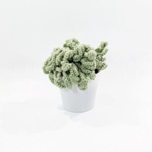 Succulent Plant Crochet Home Decor