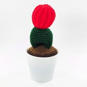 Cactus Crochet Pincushion Home Decor