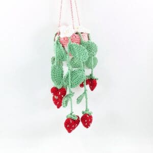 Strawberry Heart Hanging Crochet Plant