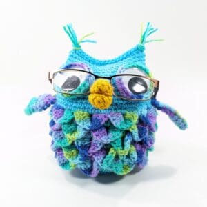 Owl Crochet Eye Glass Holder Accessory
