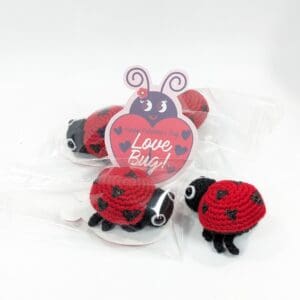 Ladybug Crochet Valentine Gift Set