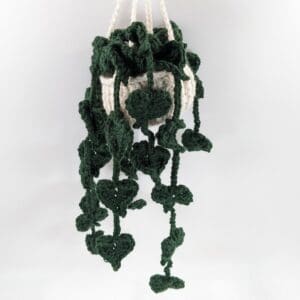 Hanging Plant Indoor Crochet Decor
