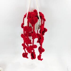 Hanging String Of Hearts Crochet Plant