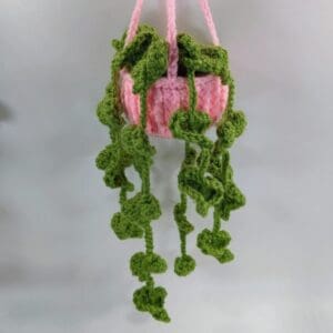 Hanging Crochet Plant and Pink Pot