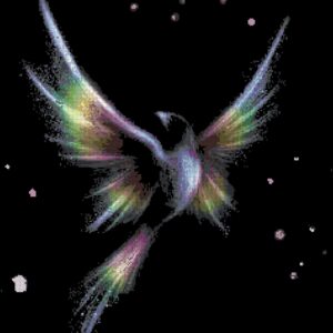 Rainbow bird
