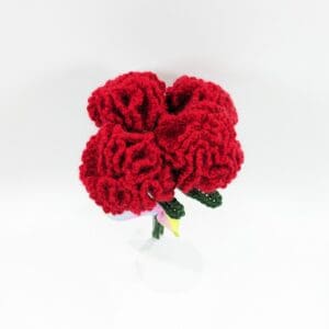 Carnations crochet floral decor