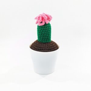 Pink Flower Cactus Crochet Pincushion Decor